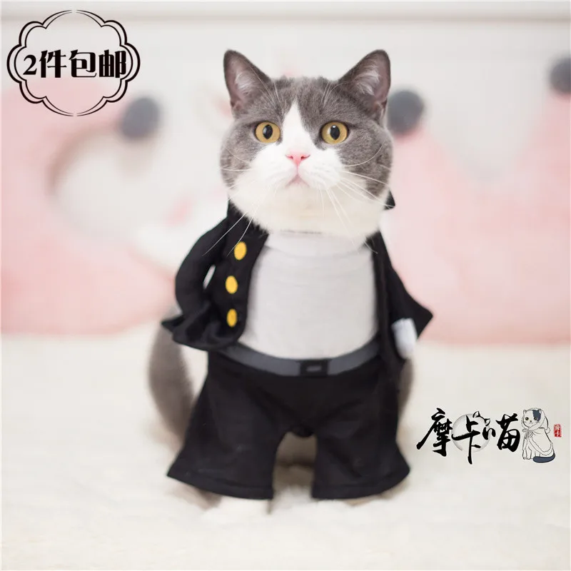 Смешная теплая Модная одежда для маленьких домашних животных кошек костюмы
