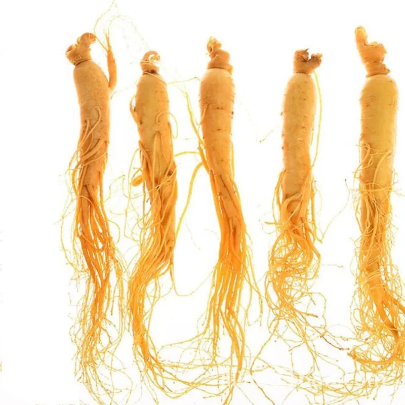 

10g-200g Changbai Fresh ginseng Bubble wine ginseng Pack Panax Fresh Ginseng Root improve immunity Herbal skin care beauty use
