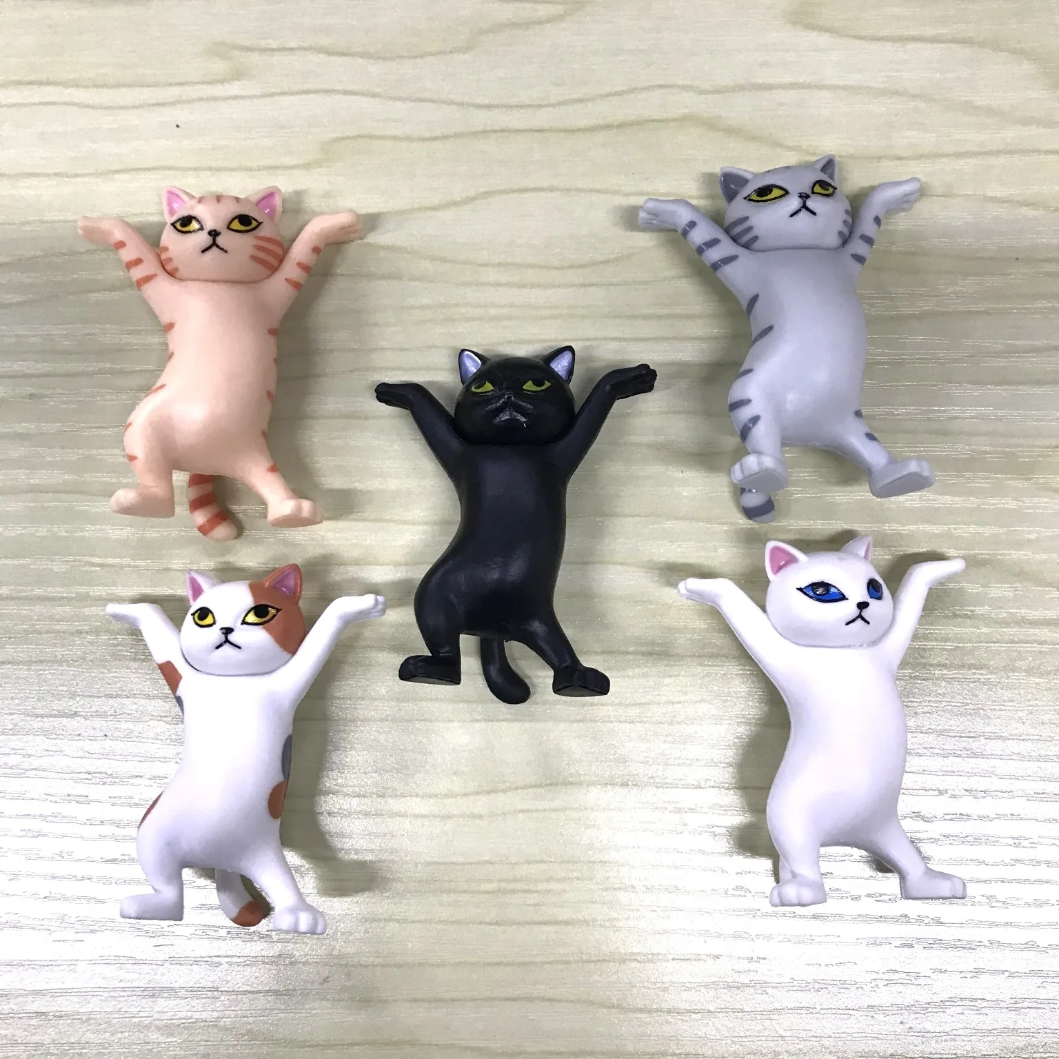 

Popular Funny 5 Coffin Carrying Cats Doll Animal Toys Creative Ornaments Anime Figure Collectible Doll Box Gifts