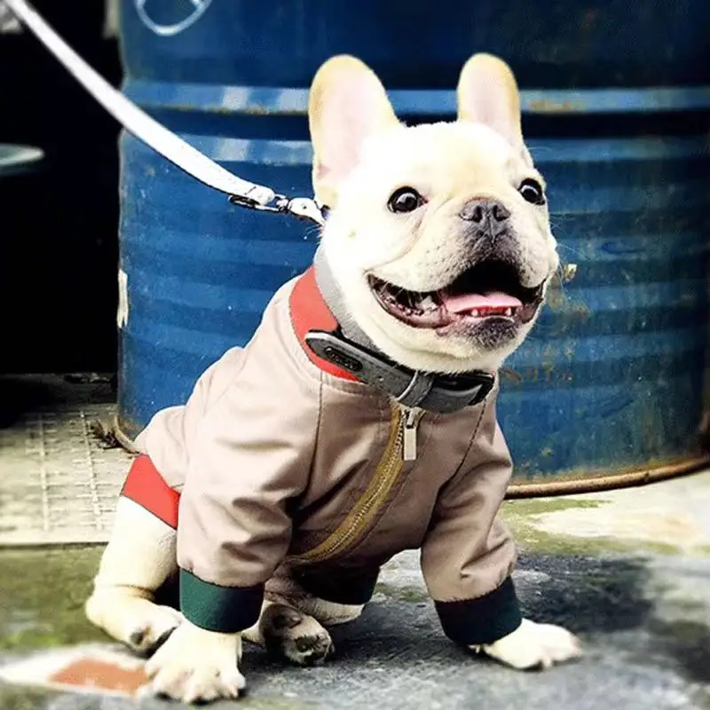 

Роскошная Одежда для собак, пальто для собак, стандартная одежда для кошек, домашних животных CW609