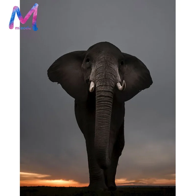 MIAODU, 5D, сделай сам, слон, картина, Алмазная дрель, квадратная, полностью ручная работа, мозаика, украшение, вышивка, 3D подарок