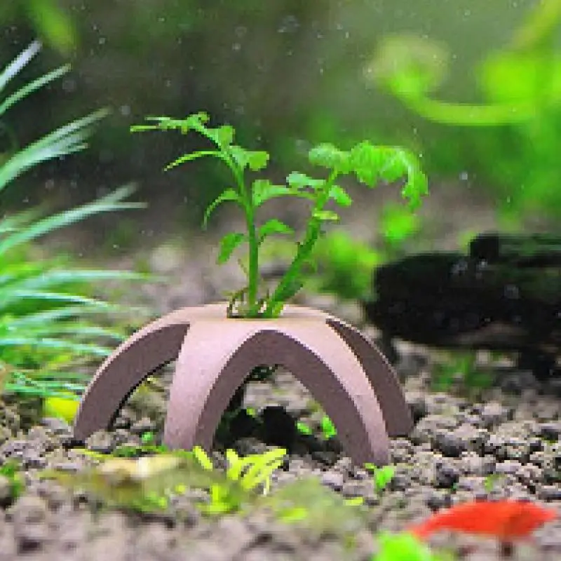 Посуда для аквариума домик креветок украшение в виде рыбки травы мох 3 шт.|ornament fish