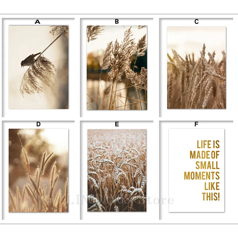 5D DIY Full Drill Diamond Painting Reed Wheat Bird Quotes Autumn Landscape Mosaic Embroidery Cross Stitch Kit Home Decor | Дом и сад