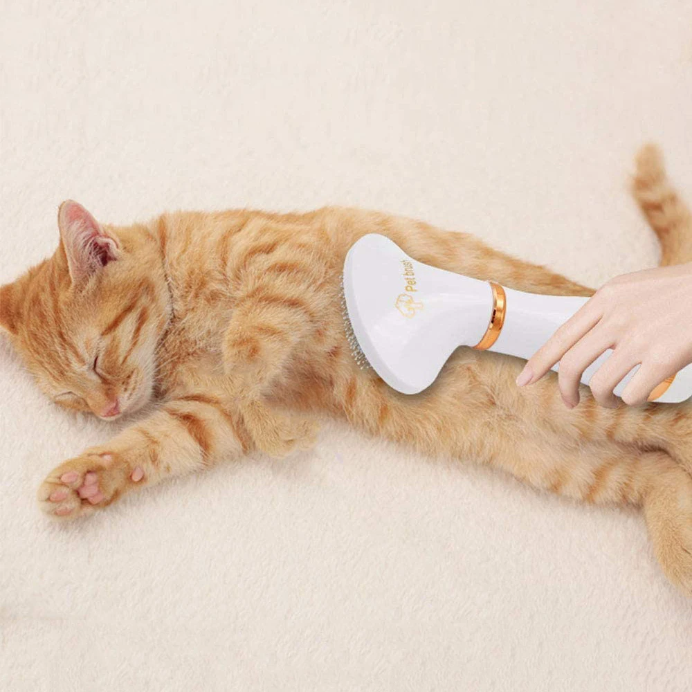 

Low Temprature & Noise Pet Dryer Dog Grooming Comb Pet Cat Hair Dryer Gooming Comb Animal Grooming Dryer Cat Hair Dryer And Comb