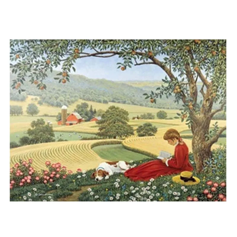 Алмазная вышивка крестиком 5d алмазная пейзаж чтение девушка домашний декор