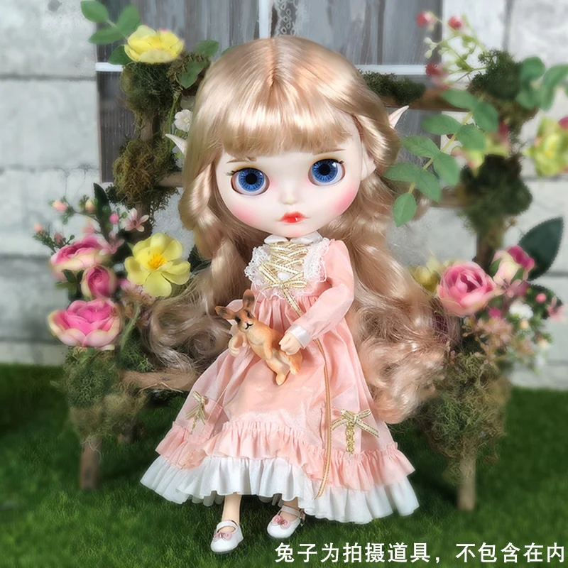 

Xiaomi Youpin Blythe Little Ragdoll