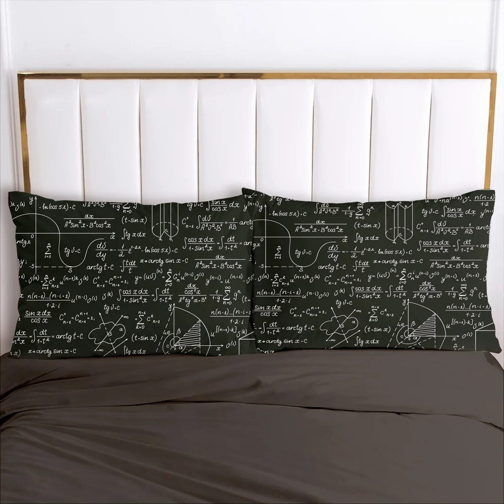 

2 Pcs 3D Printed Chemical Formula 100% Polyester Pillowcase Printed Home Decorative Pillowcse Pillow Cover Decoraion Bedclothes