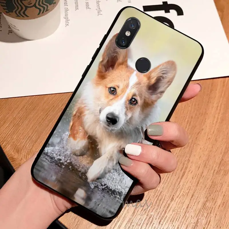 

Corgi cute and funny animals Phone Case For Xiaomi Redmi note 7 8 9 t max3 s 10 pro lite