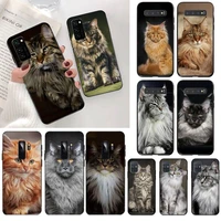 pet maine coon cat bling cute phone case for samsung s20 plus ultra s6 s7 edge s8 s9 plus s10 5g lite 2020