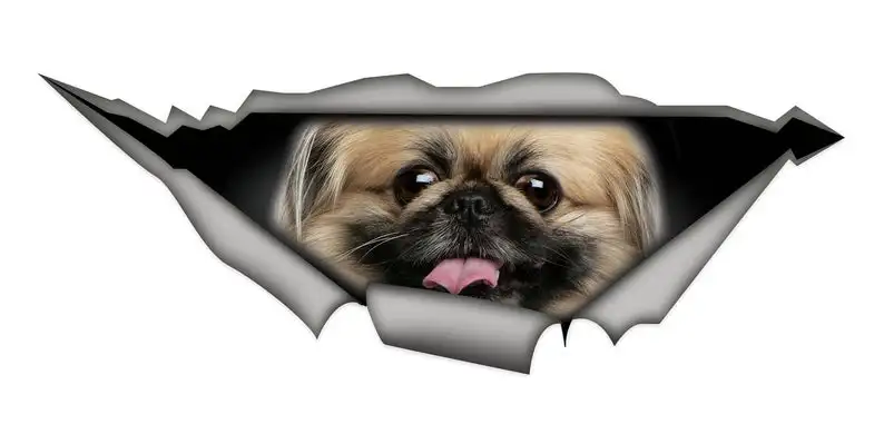 

2021 Pekingese sticker, car decal, Vinyl decal, Pet sticker, Dog decal, pekingese car decal