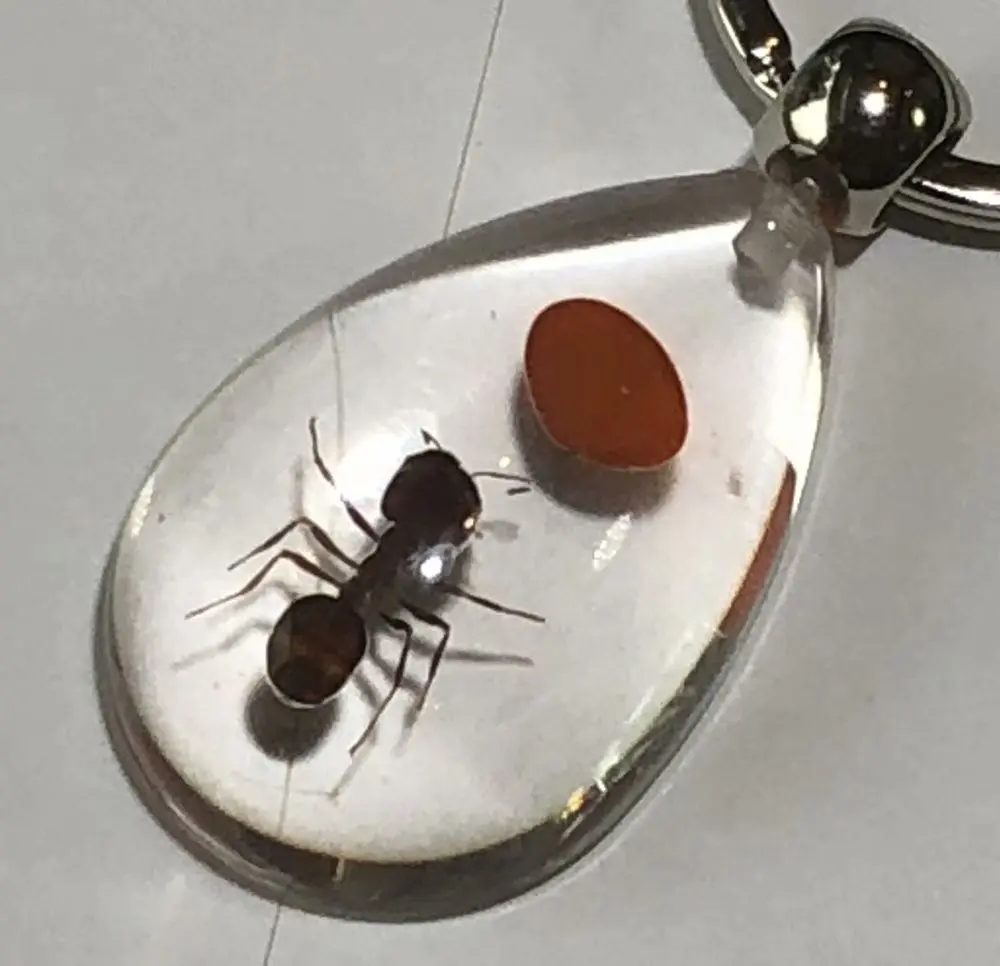 

16 pcs fashion lucid drop real red bean ant keychain