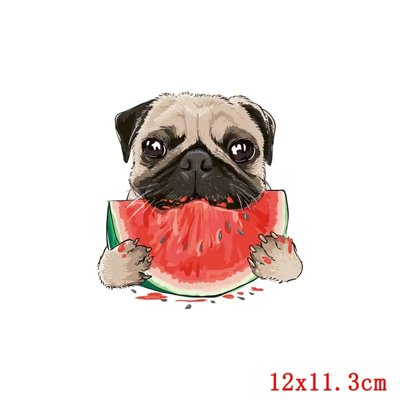 

Cartoon Fruit Patches On Clothes Iron On Transfers For Clothing Watermelon Applique Animal Dog Stickers Stripes On T-shirt Decro