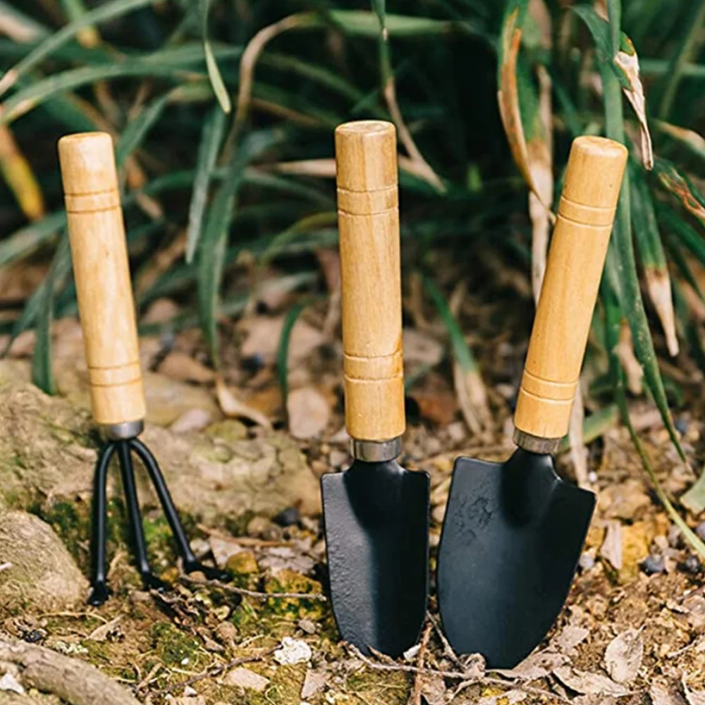 

Succulent Planting Tools Gardening Landscape Potted Tools Flower Planting Set