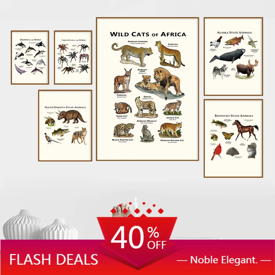 Рождественская Картина на холсте паук Дельфин дикие кошки энциклопедия Животных