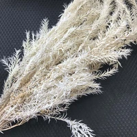 70gbundle real dried natural preserved flowers forever melaleuca bracteata bouquetdecorative eternal grass for home decoration