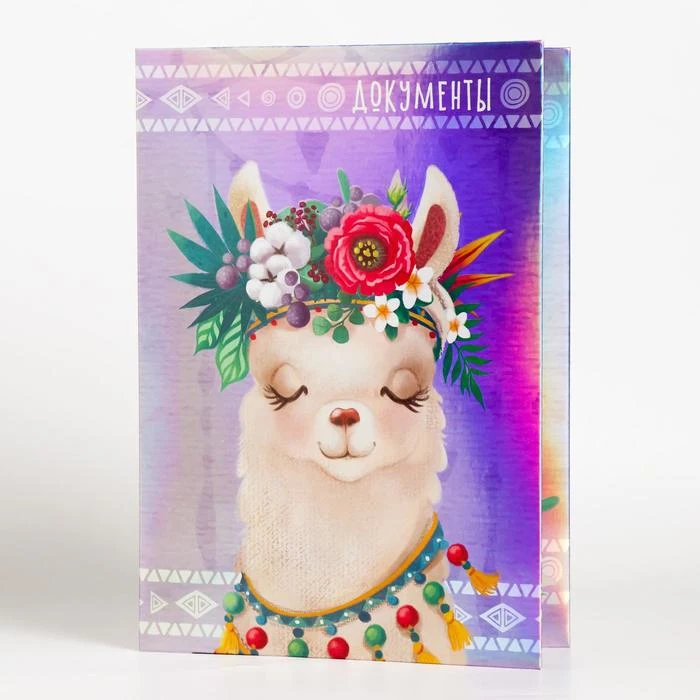 Папка для семейных документов Документы 12 файлов 4 комплекта|Папка файлов| |