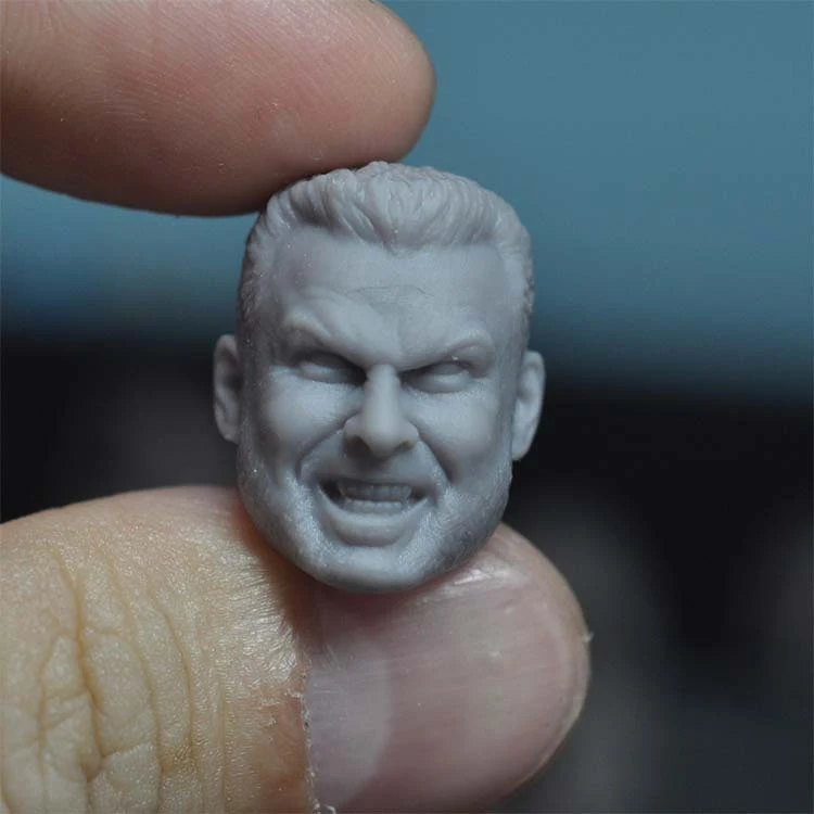 

1/12 Scale Saber Tiger Unpainted Head Models Sculpt for 12''Figures Bodies DIY