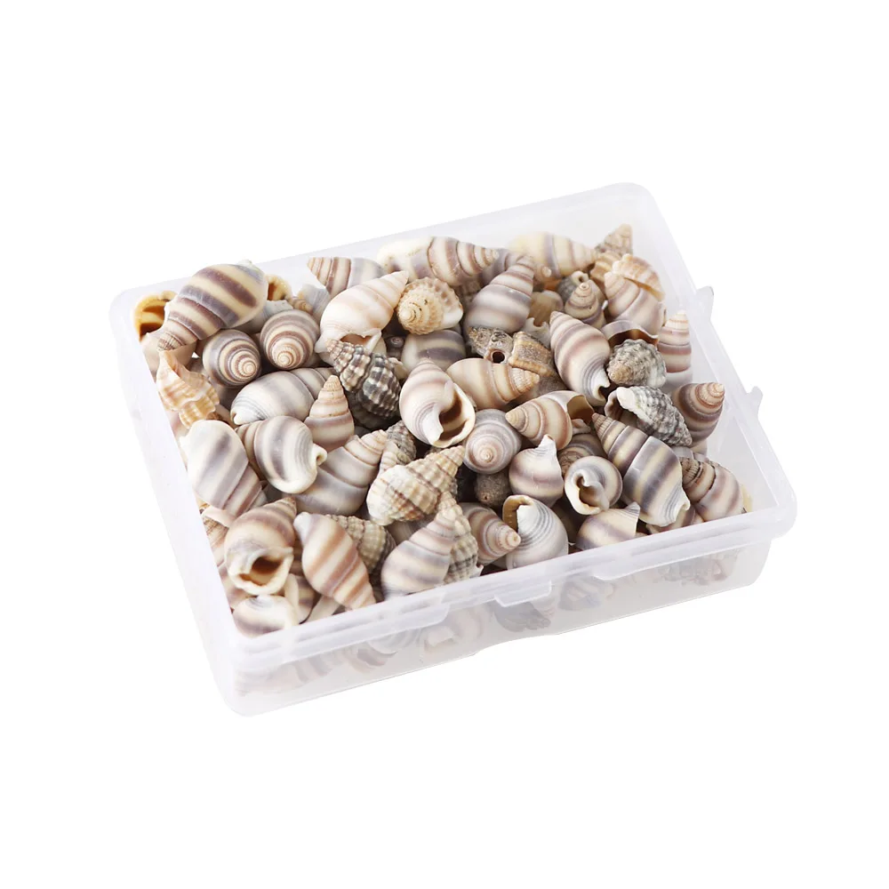 1 Box Pattern 4 Styles Nature Beach Fashion Sea Shells For DIY Caft Decor Jewelery Craft Accessories Holes Shell Decoration