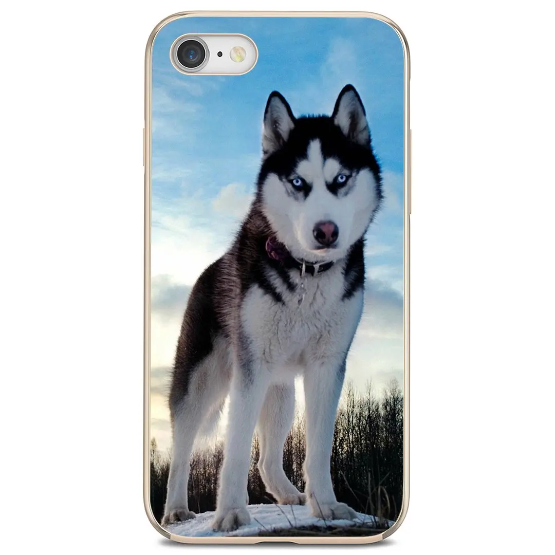 Чехлы для телефонов Husky-Dog Sony Xperia XA Z3 Z5 XZ1 XZ2 Z Z1 Z2 compact M2 M4 M5 C4 C6 E3 T3 | Мобильные