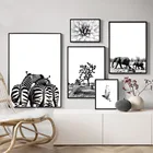 Зебра, слон, птица, цветок, Африка, черный, белый цвет, фотообои, искусство на холсте, живопись, настенные картины для гостиной