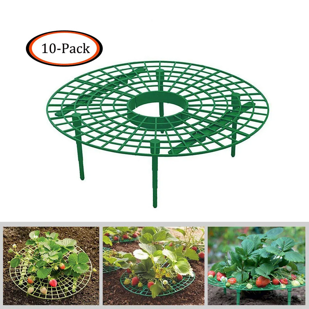 Off Ground Strawberry Support Stand Rot Proof Leaking Mini Round Table for Adequate Air Strawberry Vine Stem Leaf Grow Holder