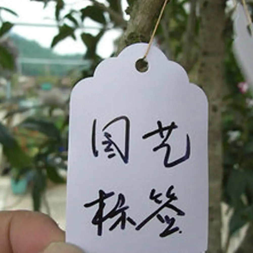 

100pcs Waterproof Strip Line Gardening Labels Signs Plant Hanging Tags Gray
