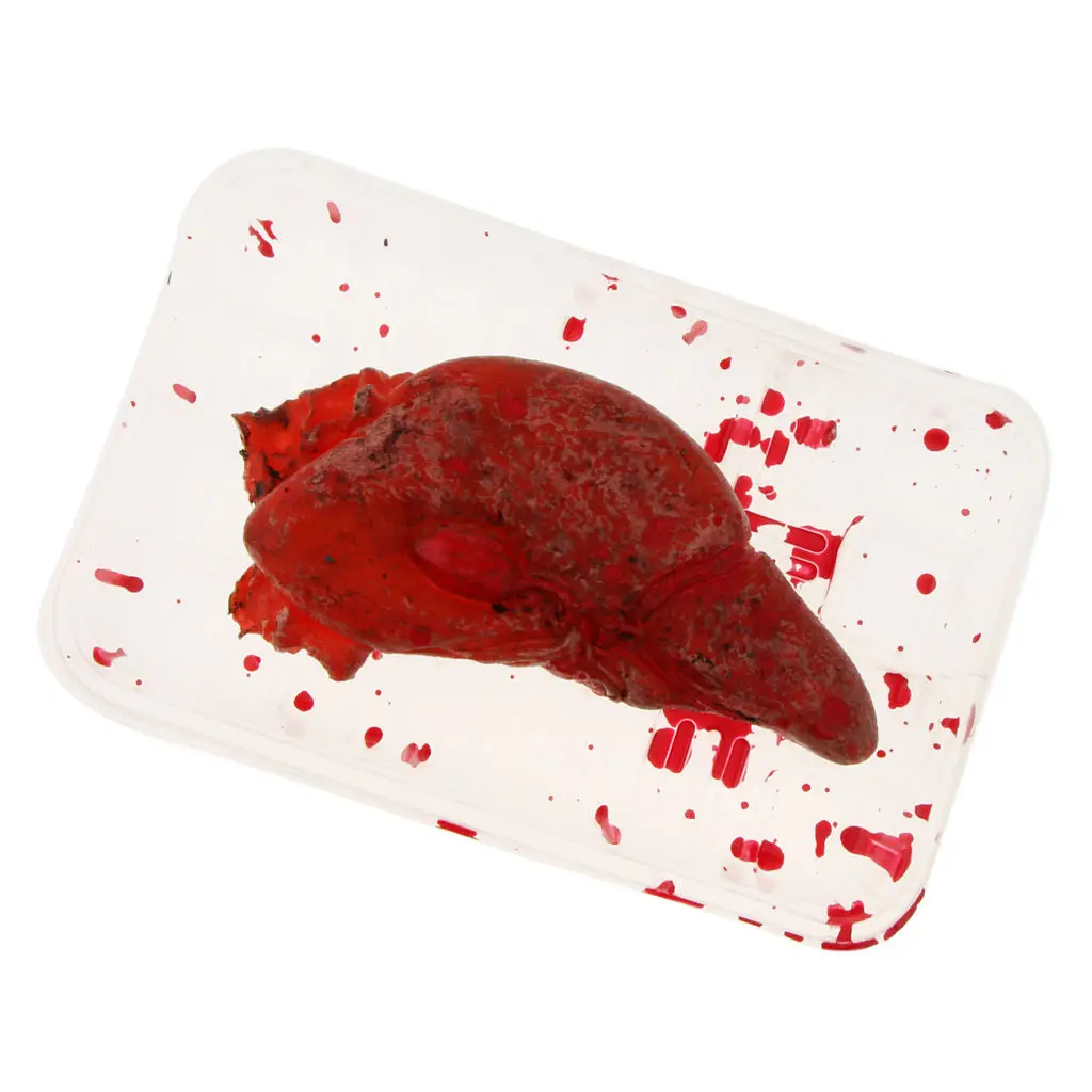 

Bloody Liver Organ Lunch Box- Body Parts Haunted House Halloween Decorations