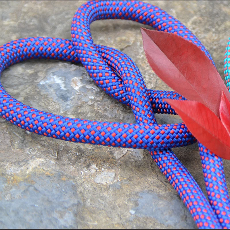 

Professional 10M Strong Rock Climbing Rope 10.5mm Diameter 2.5KN High Strength Safe Cord Outdoor Hiking Rescue Rope Accessories
