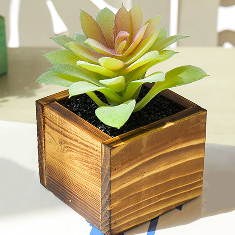 Смешанные семена кактуса Редкие суккуленты растения домашние садовые украшения