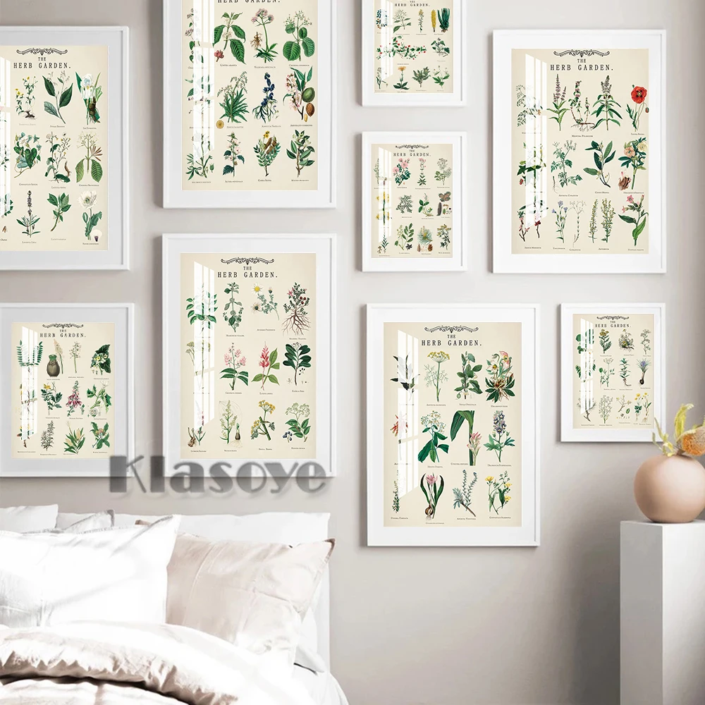 Диаграмма Botany для изучения идентификационная диаграмма Настенная фотография