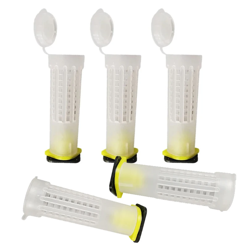 

10 шт./набор, инструменты для пчеловодства