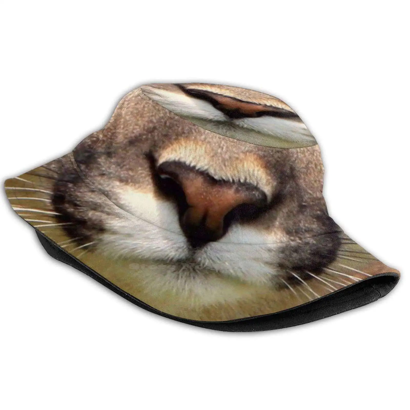 

Шапка с защитным узором для лица льва, уличная Кепка От Солнца, для любителей горы, короля, тигра, Кэрола, баскина Джо, экзотическая