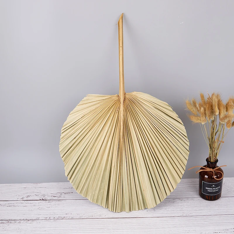 Сушеный цветок веер на Пальму листья растений подсолнечника домашний декор окно