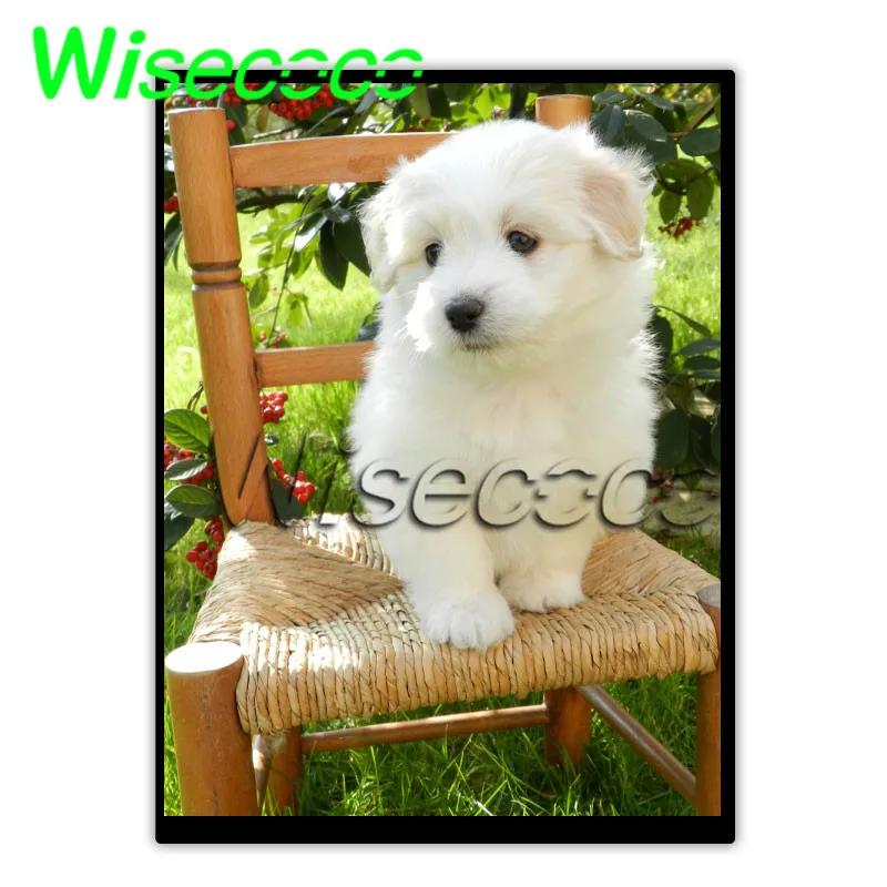 

Wisecoco HSD104JPW1-A10 10.4 Inch TFT Ips Display 900nits Sunlight Readable 960x1280 Car Navigation Screen