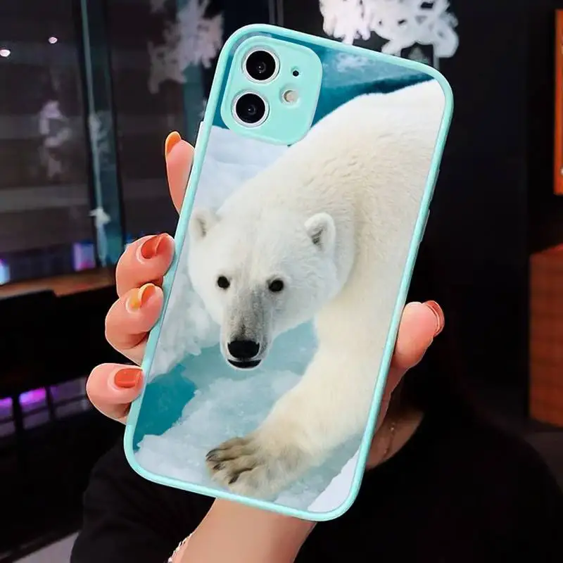 

Polar bear Phone Case For iPhone 12 11 Mini Pro XR XS Max 7 8 Plus X Matte transparent blue Back Cover