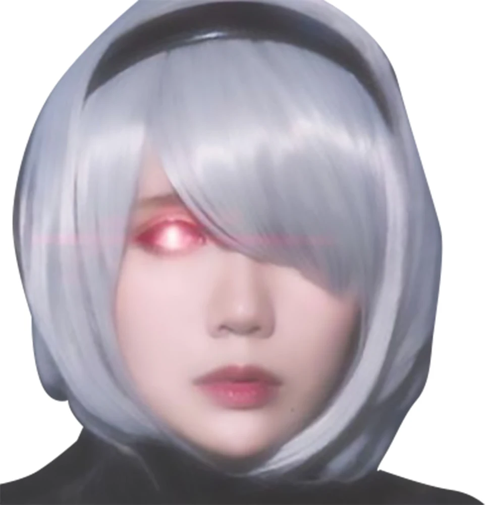 

DUDU Cosplay wig for NieR Automata YoRHa No.2 Type B