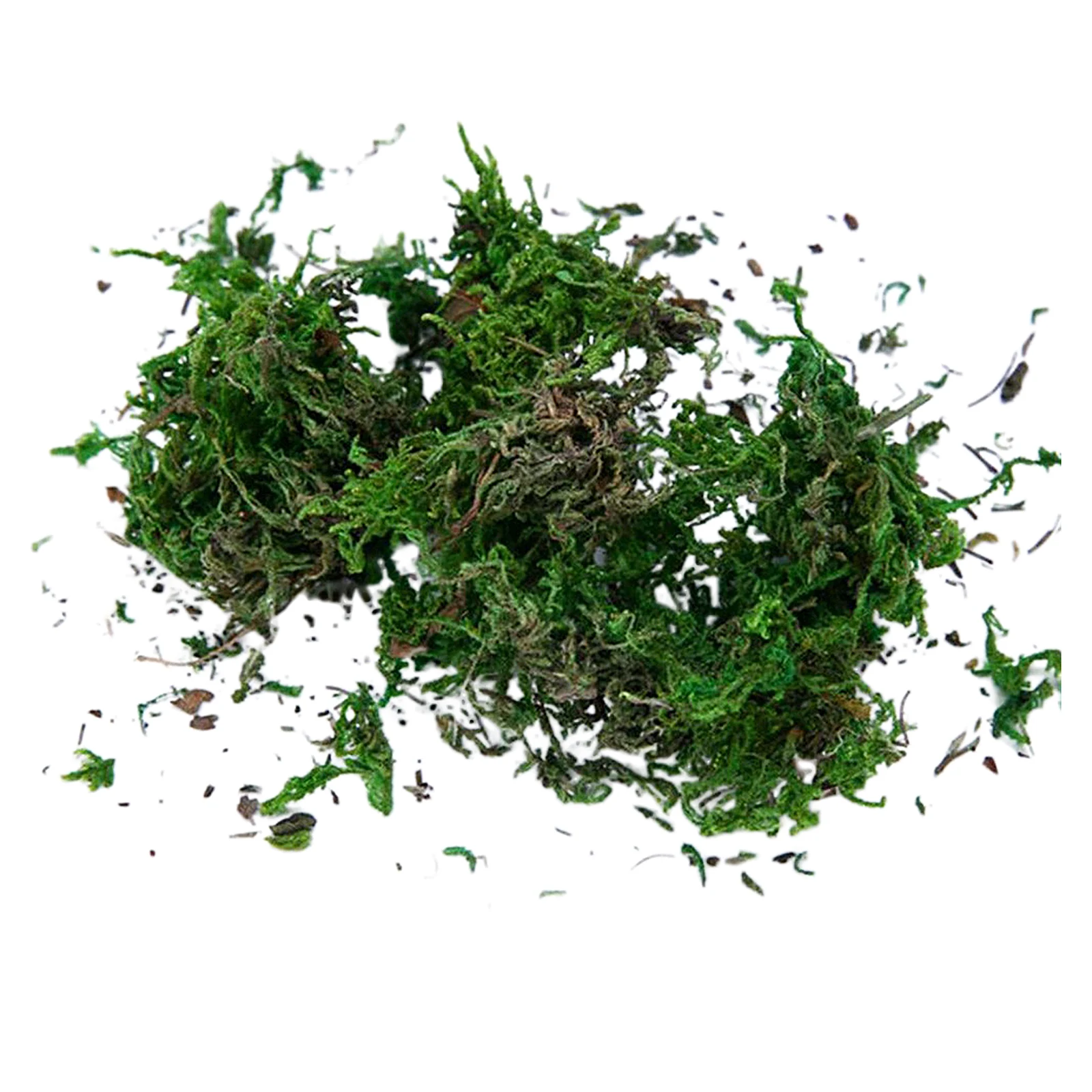 

Bulk Bag of Real Natural Moss Preserved Garden Landscaping Crafts Moss Flowerpot