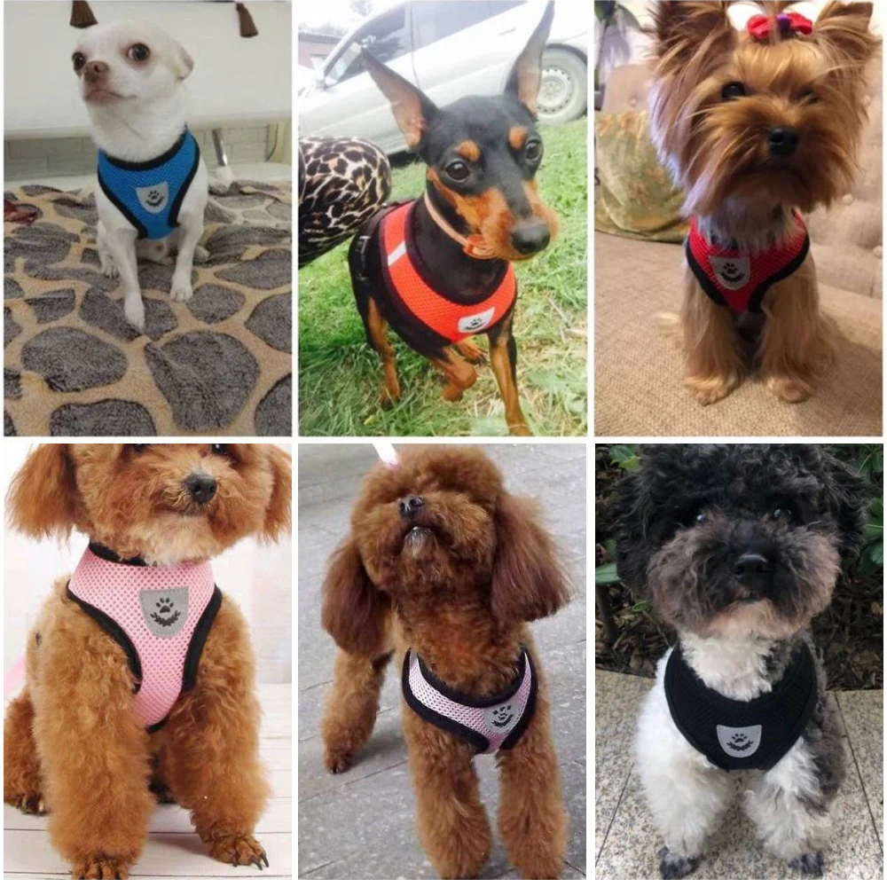 

Dog Harness Vest Training for Chihuahua Puppy Soft Mesh Pet Harness For Dogs Cats Pet shop Puppy Collar Cat Pet Dog Chest Strap
