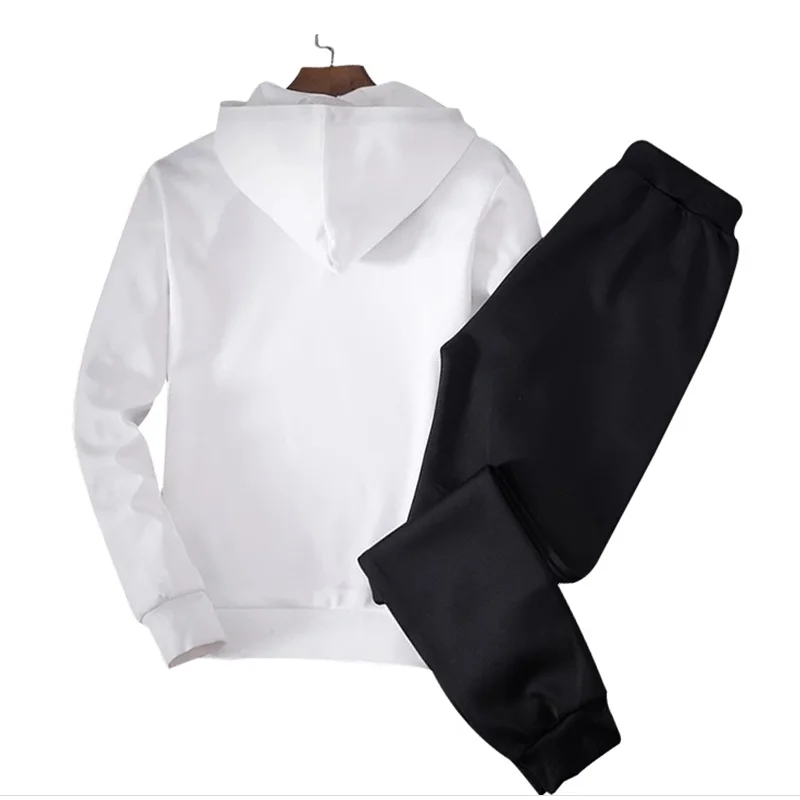 Спортивный костюм мужской из 2 предметов свитшот с капюшоном и брюки