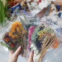 12pcslot flower vintage stickers plant hand account pet large stickers transparent waterproof diy decorative tablet stickers