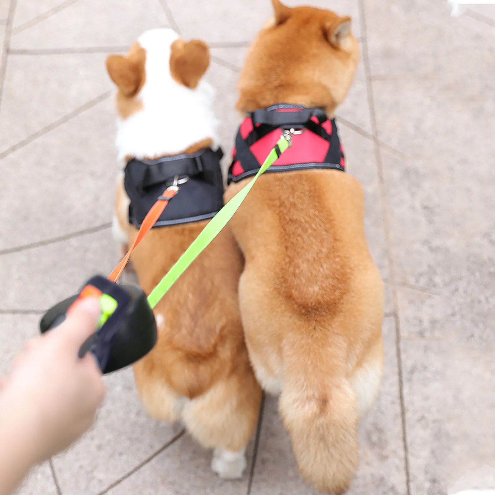 

D2 2 Color Retractable Dual Double Pet Leash Rope Zero Tangle Walk For Two Dog Walk The Dog Adjustable Pet Leash Pet Supplies