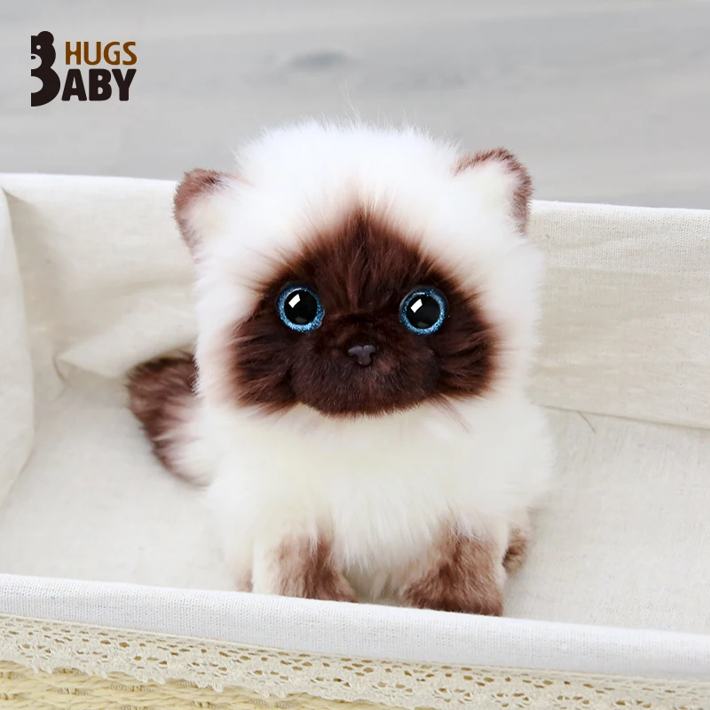 Симпатичная плюшевая игрушка candice guo милая животная имитация кошки котенок