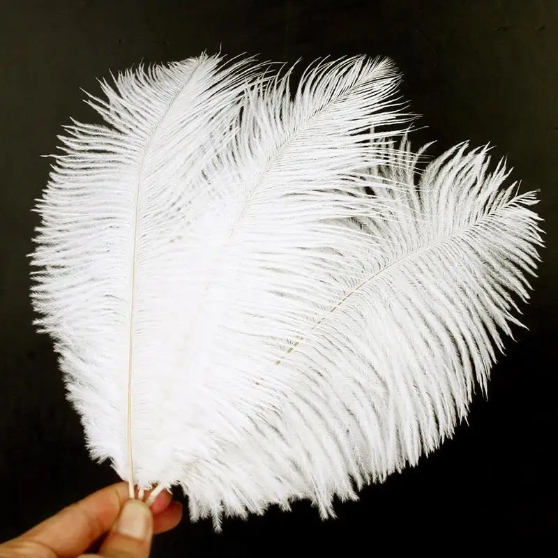 

10pcs Ostrich Feathers Plume 15-20cm Wedding Ostrich Feathers Decoration