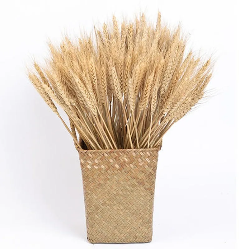 Dried Wheat Ear Bunches Flower Bouquets Natural Raw Color DIY Wedding Party Home Decoration | Дом и сад