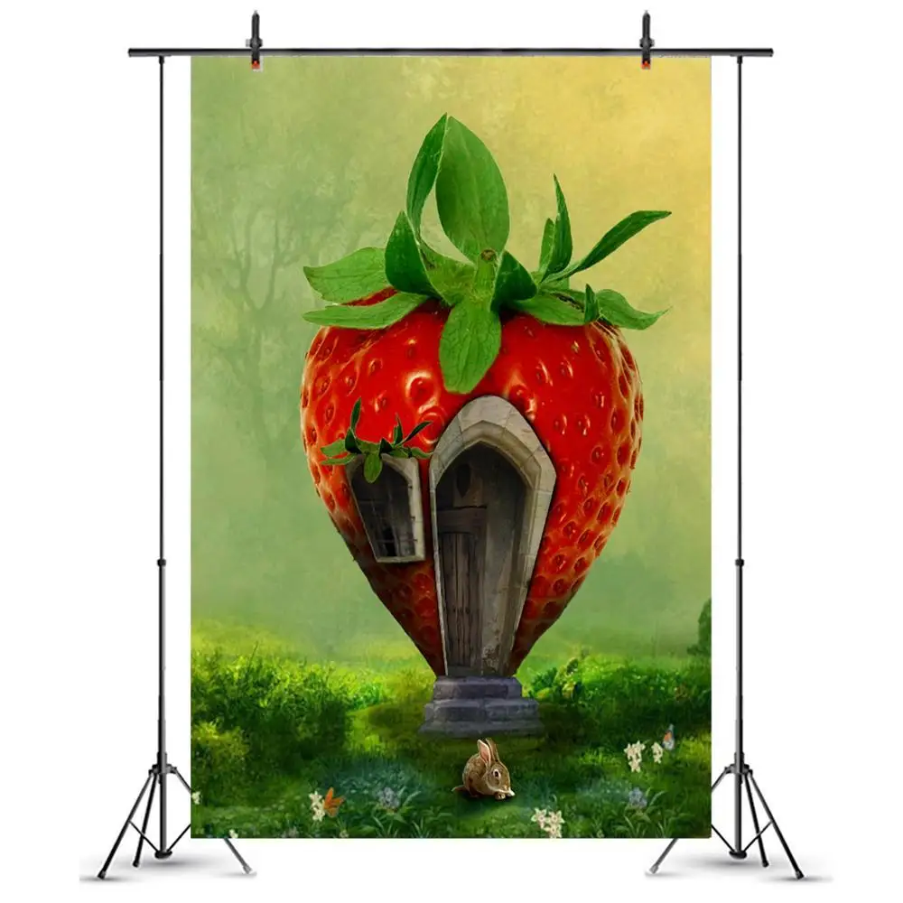 

Fairy Tale Princess Strawberry House Room Photography Backdrop Newborn Baby Shower Girl Birthday Decor Portrait Photo Background