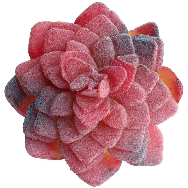 8 Artificial Succulents Green Flocking Plant Bonsai Desktop Fake Plants Valentine Day Christmas Wedding Decoration Plante - Цвет: 8