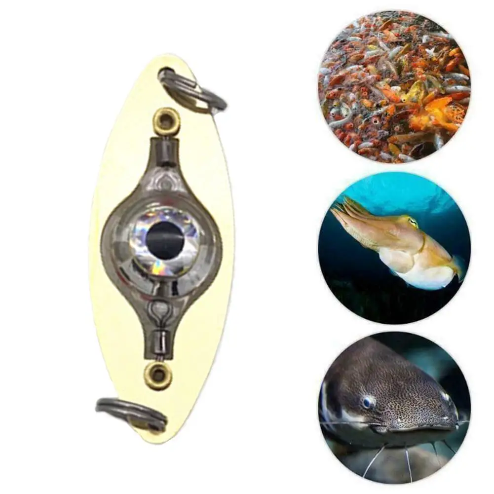 

1Pc Fishing Lights Night Fluorescent Glow Led Underwater Fishing Fish Lures Fishing Led Lure Mini For Attracting Night Ligh K6L2