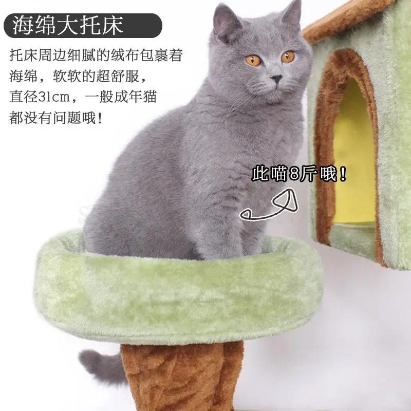 Скалолазание в европейском и американском стиле для скалолазания на дереве