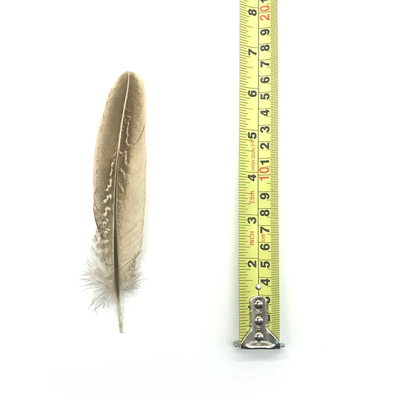 

Sell 100 pcs of beautiful natural color pheasant feathers 12-18cm stage party dress accessories decoration