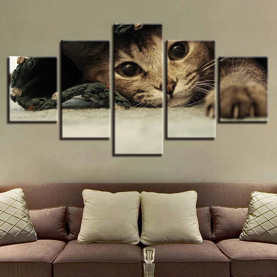 Картины с животными HD Печать на холсте 5 шт. картины милыми кошками Декор для дома